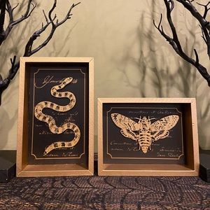 Witchy Snake and Moth Wall Decor Set